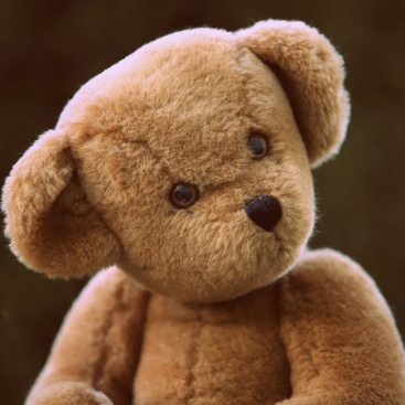 Soft Toys