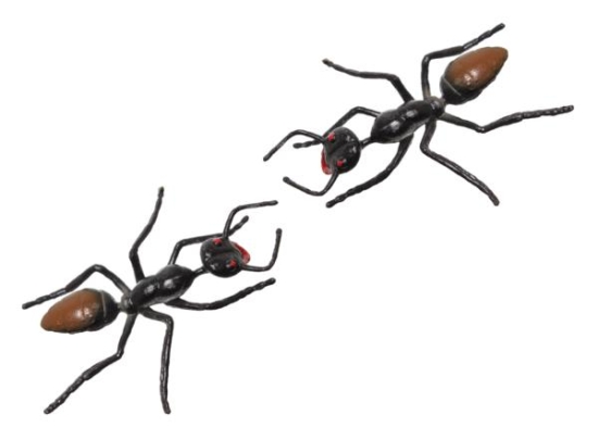Plastic Ants