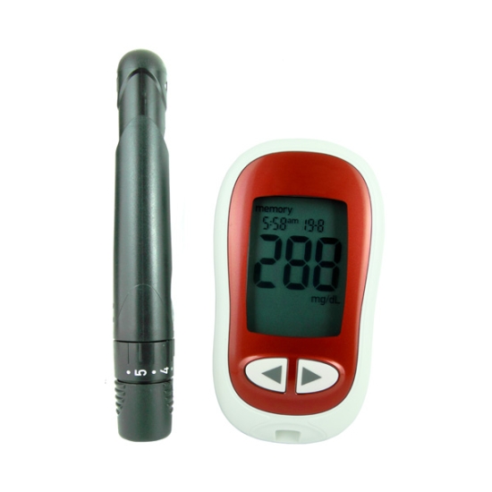 Glucose Blood Test